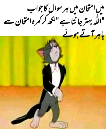 ہم پیدا ہی اس خاندان میں ہوئے ہیں جس کا نہ تو دل کمزور ہے. اور نہ ہی خون.
