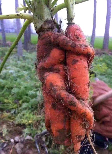 Beautiful Nature image