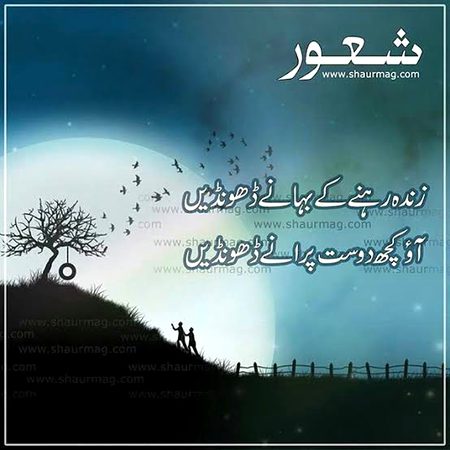 🍁Zoq_Shab🍁