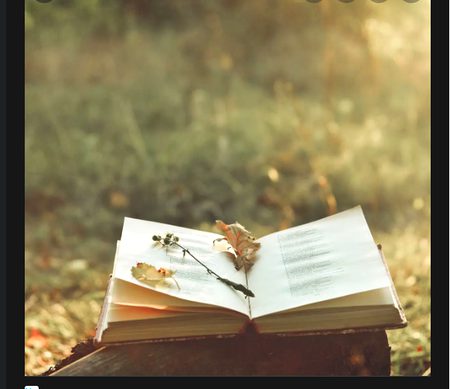 کوئی تم سے پوچھے کون ہوں میں تم کہہ دینا کوئی خاص نہیں اک دوست ہے کچا پکا سا اک جھوٹ ہے آدھا سچا سا اگ خواب ادھورا پورا سا اک پھول ہے روکھا سوکھا سا اک سپنا ہے بن سوچا سا اک اپنا ہے اندیکھا سا اک رشتہ ہے انجانا سا حقیقت میں افسانہ سا کچھ پاگل سا دیوانا سا ہے کوئی انجانا سا جیون کا ایسا ساتھی ہے جو دور ہو تو کچھ پاس نہیں کوئی تم سے پوچھے کون ہوں میں تم کہہ دینا کوئی خاص نہیں