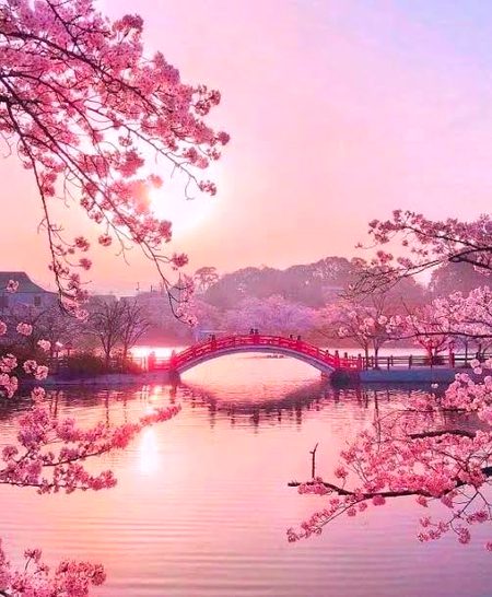 Beautiful Nature image