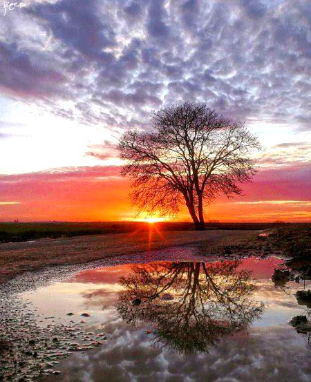 Beautiful Nature image