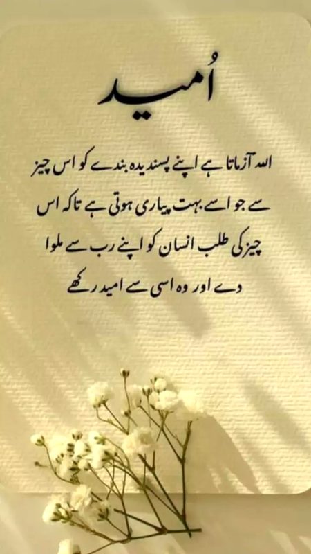 💫✨💫✨💫✨💫✨