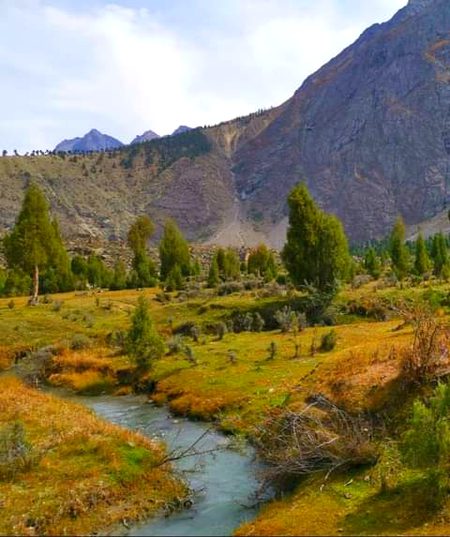 Beautiful Nature image