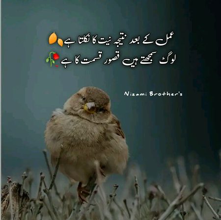 Motivational Quotes image