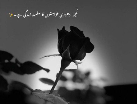 👑👑👑🫠🫠👑👑👑