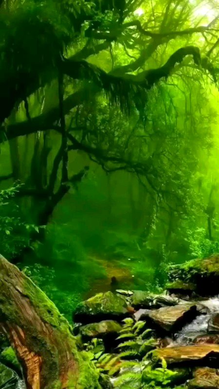 Beautiful Nature image