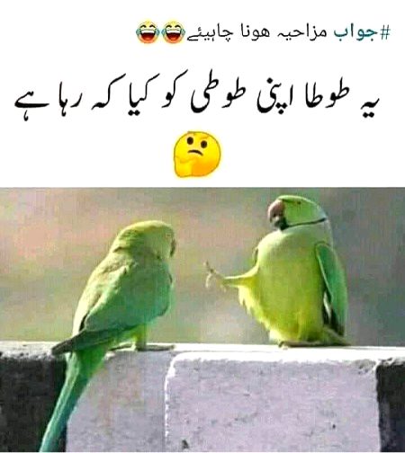 جواب مزاحیہ ہونا چاہئے