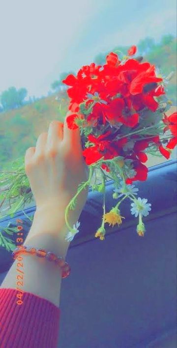 Beautiful Nature image