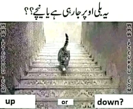 Knowledge Test image