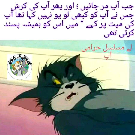 Memes & Satire image