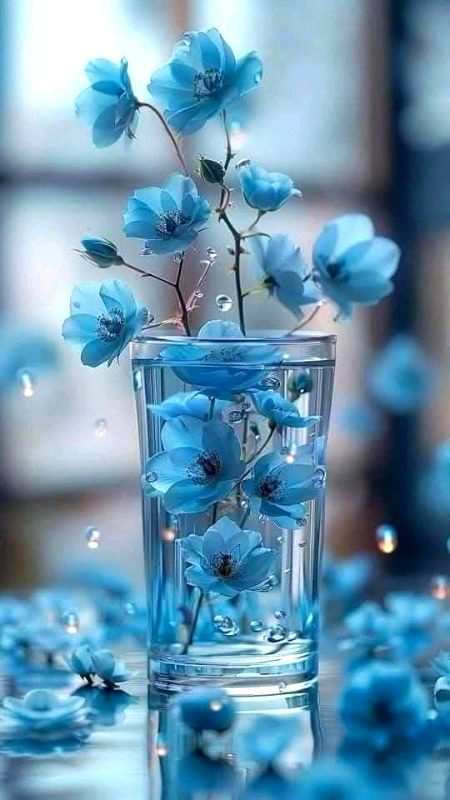 Beautiful Nature image
