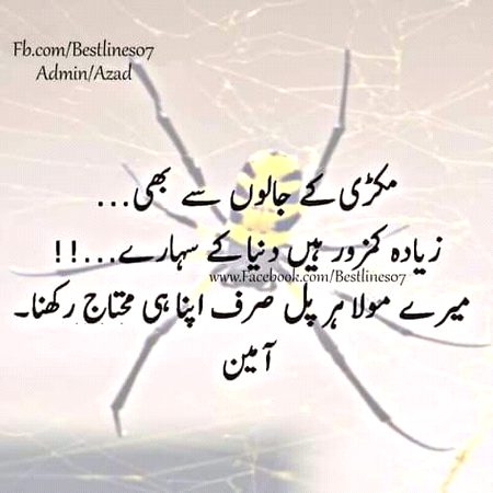 🍃🍃بيشک🍃🍃