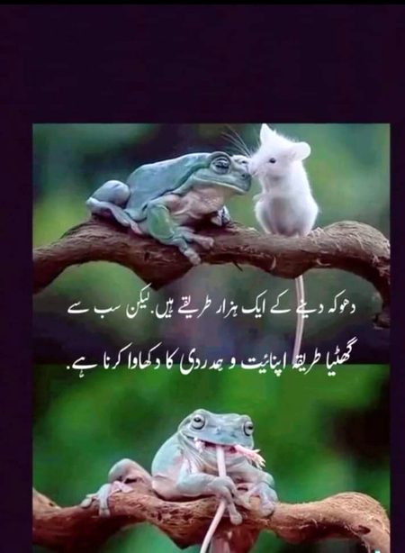 It's reality