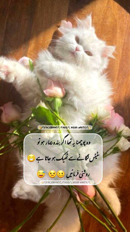 Kea theek ho jate ho status lgane se