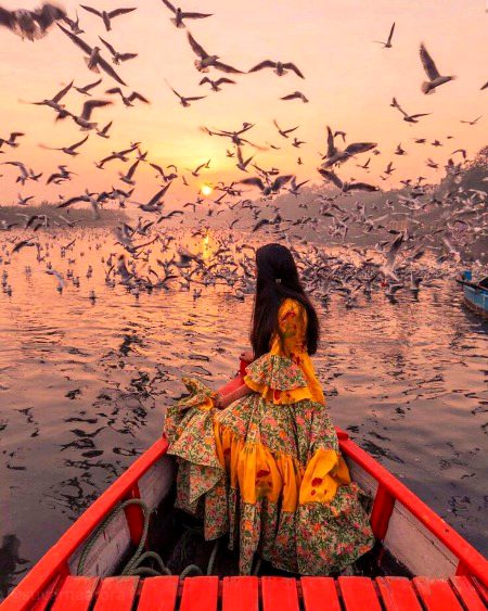 Beautiful Nature image
