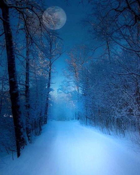 Beautiful Nature image