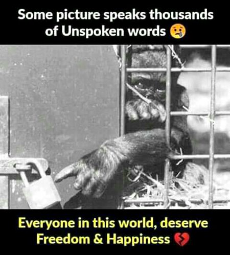 everyone deserves freedom and happiness