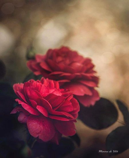 Beautiful nature ❤️