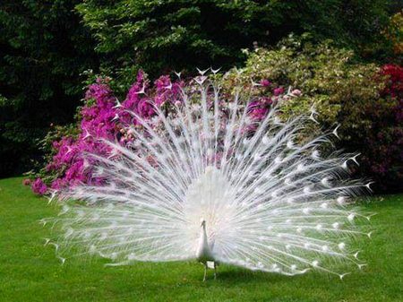 Beautiful Nature image