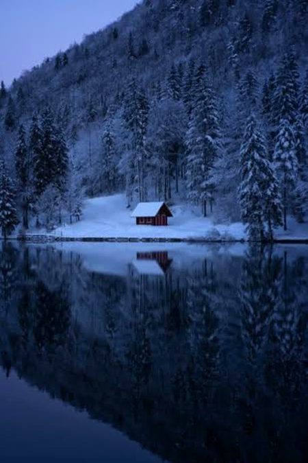 Beautiful Nature image