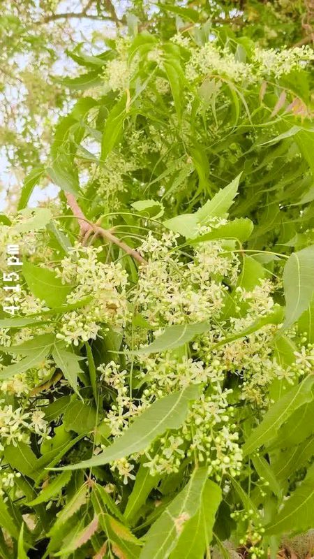 Beautiful Nature image