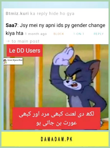 Damadam Roasting image