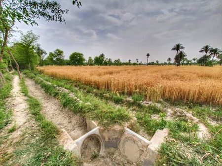 Beautiful Nature image