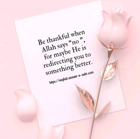 Islamic Quotes image