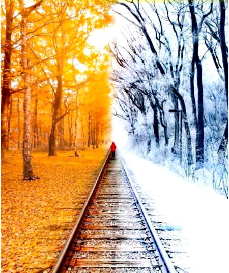 بے وجہ، بے سبب، بے ارادہ چاہا دیکھ ہم نے تجھے کتنا سادہ چاہا 🖤🥀