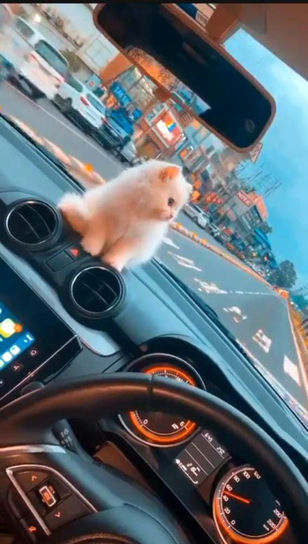 Beautiful Nature image