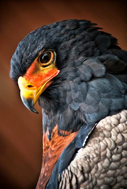 Beautiful Nature image