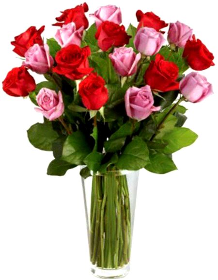 Only For You My (🥰P)
