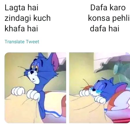 Memes & Satire image