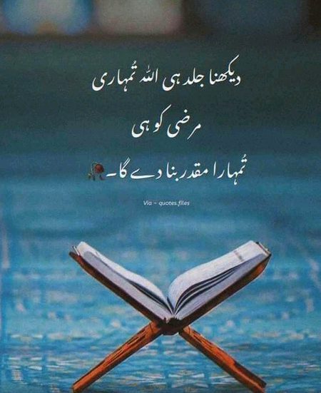 INSHALLAH ❤️ Jald hi....
