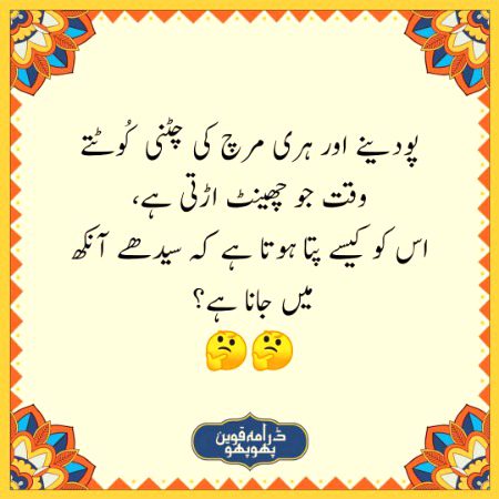 Jokes image