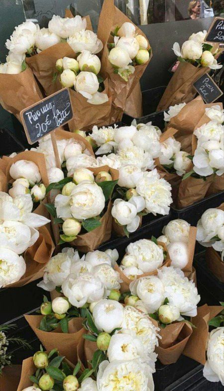 Beautiful Nature image