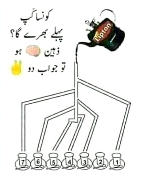 Riddles & Puzzles image