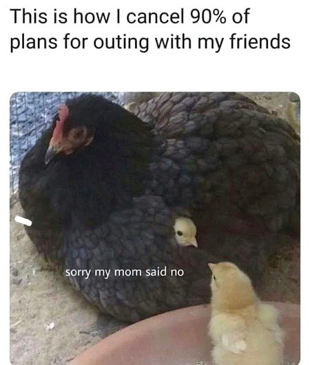 Memes & Satire image