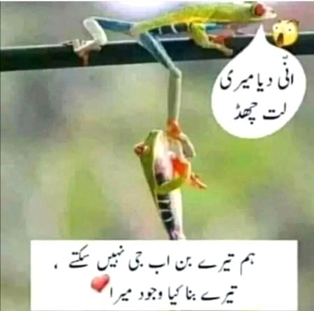 Memes & Satire image