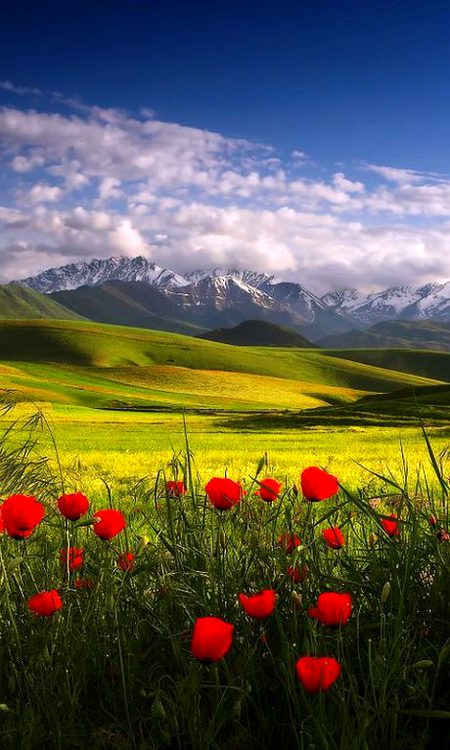 Beautiful Nature image