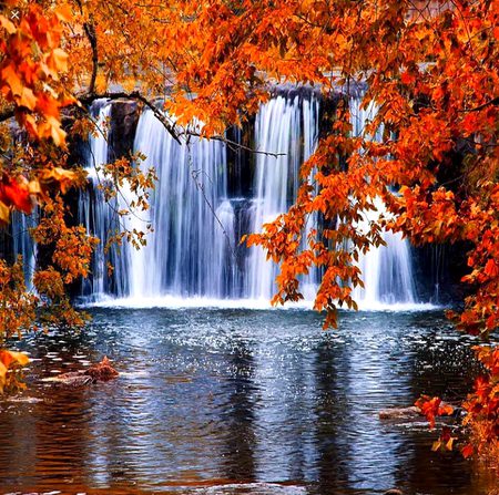 Beautiful Nature image