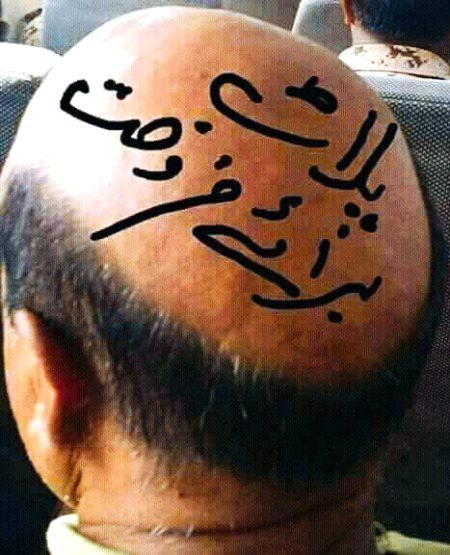 Memes & Satire image