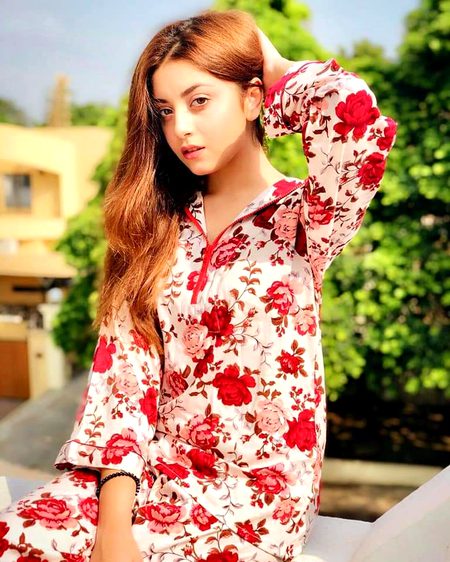 Pakistani Celebs image