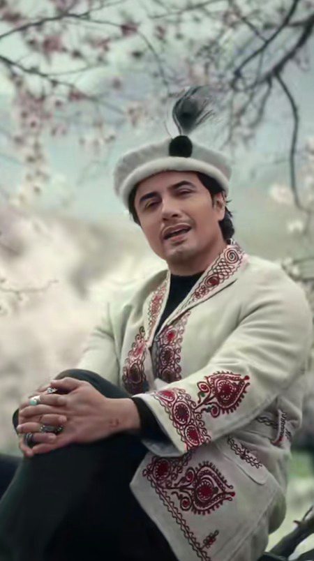 Pakistani Celebs image
