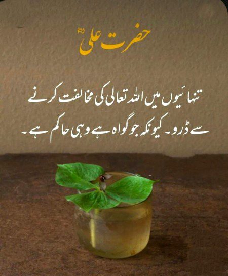Islamic Quotes image