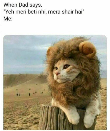Memes & Satire image