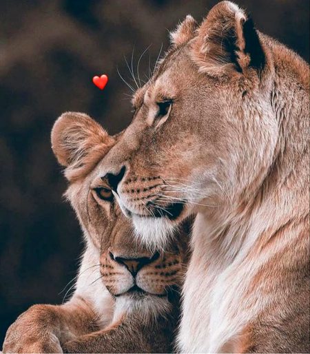 Beautiful Nature image