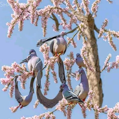 Beautiful Nature image