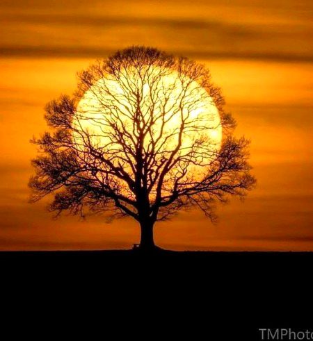 Beautiful Nature image